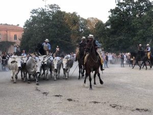Tutto pronto per &ldquo;La Fattoria in Fortezza&rdquo;