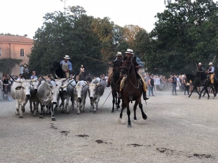 Tutto pronto per &ldquo;La Fattoria in Fortezza&rdquo;