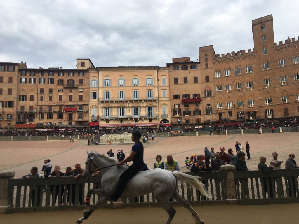 Palio straordinario: ecco i cavalli ammessi alla tratta