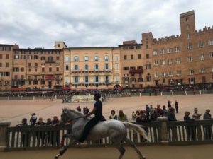 Palio straordinario: ecco i cavalli ammessi alla tratta