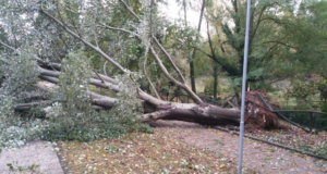 Maltempo, la situazione: chiusa strada delle Volte e via Lizzadri