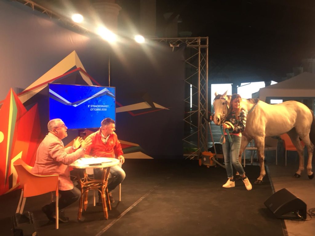 Buongiorno Palio, Antonio Benocci sulle condizioni dei cavalli