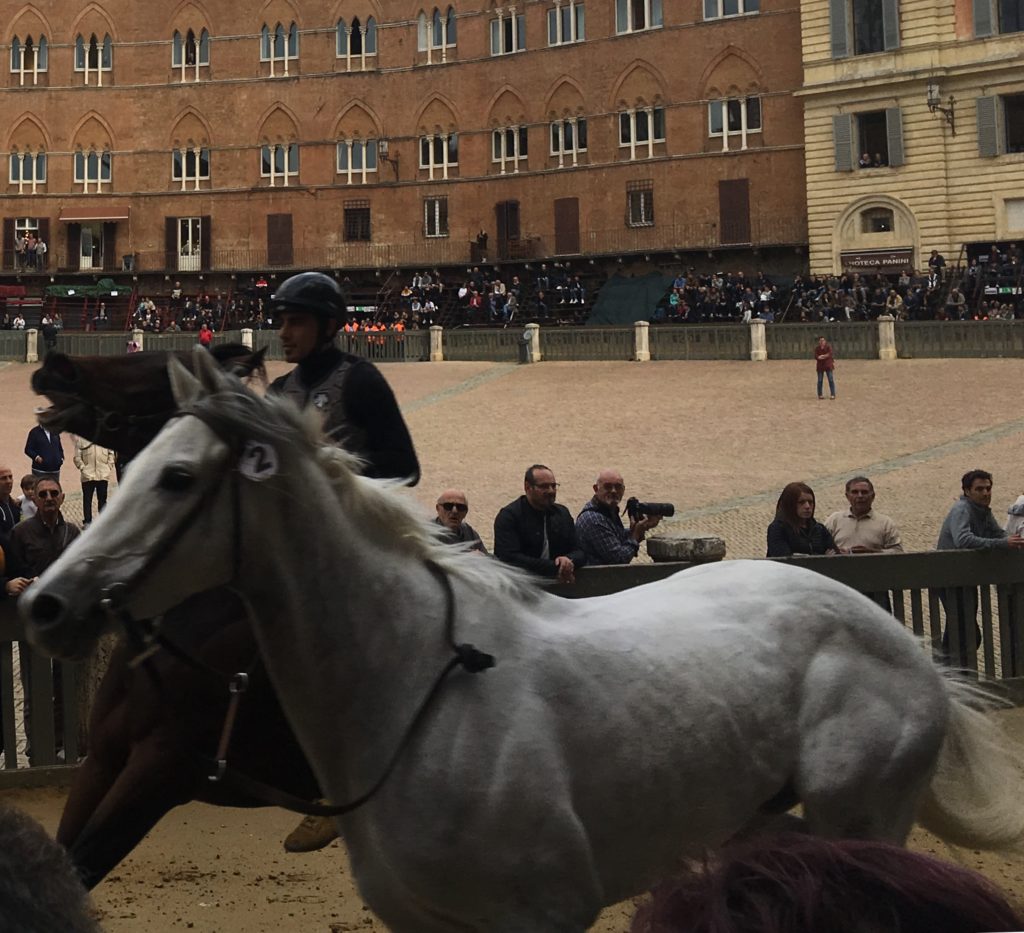 Post Prove, i cavalli che si sono fatti notare