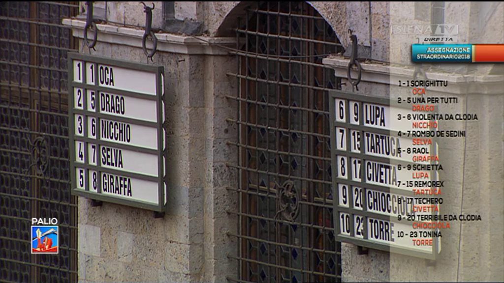 ASSEGNAZIONE 17-10-2018