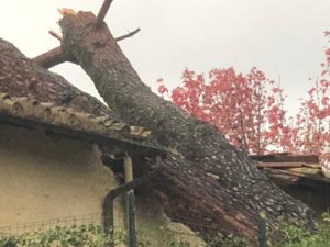 Tronchi si abbattono sul tetto di una casa, le incredibili immagini - FOTOGALLERY