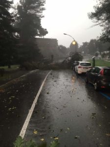 Allerta meteo prolungata fino al 2 novembre