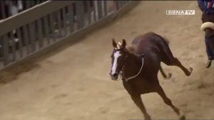 Tartuca, il 25 maggio la cena della vittoria del Palio Straordinario