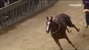 Tartuca, il 25 maggio la cena della vittoria del Palio Straordinario