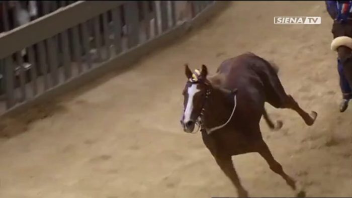 Tartuca, il 25 maggio la cena della vittoria del Palio Straordinario