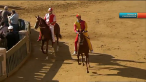 PROVACCIA (CHIOCCIOLA) 20-10-2018