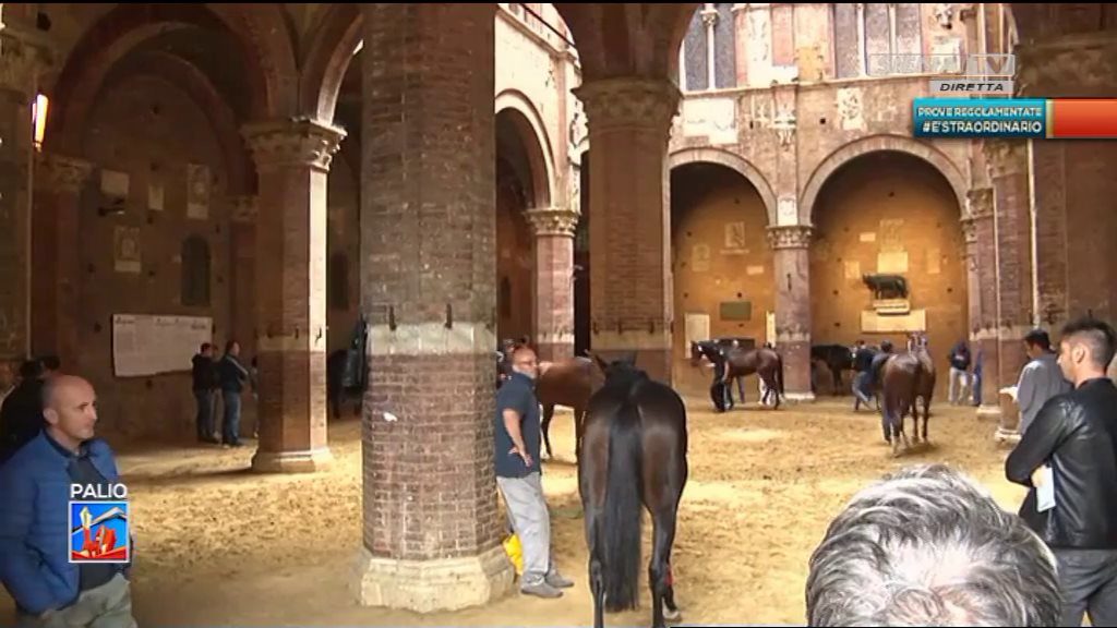 Prove regolamentate, ecco le batterie dei cavalli presenti in Piazza