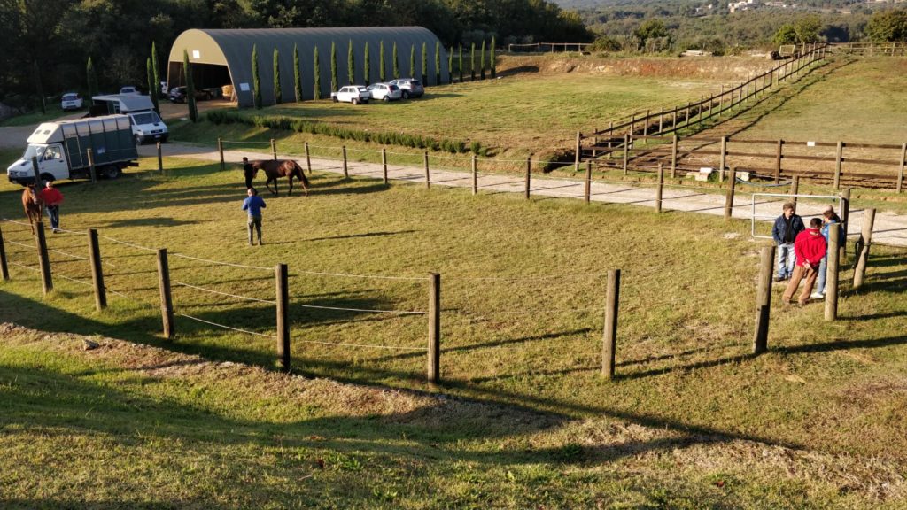 Palio, 34 cavalli superano la previsita
