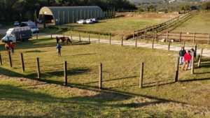 Previsite, assente Phatos de Ozieri