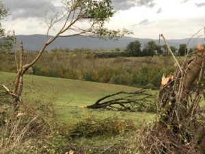 Numerose frazioni e località ancora senza luce