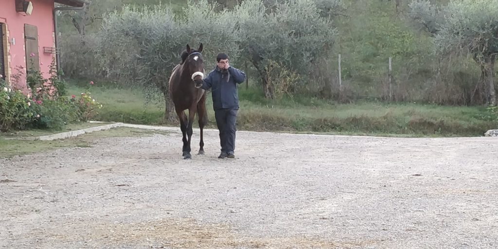 Palio straordinario, al via le previsite