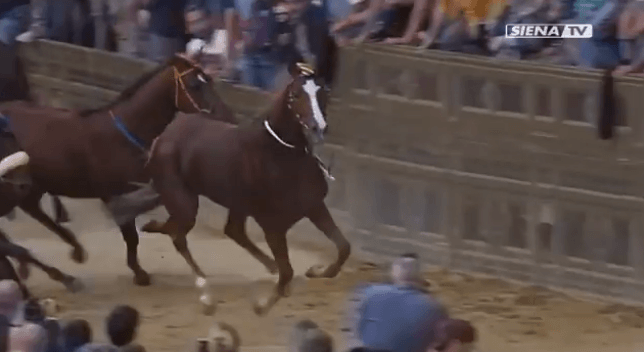 Tartuca, la Festa per la vittoria dello Straordinario si sposta al 18 maggio