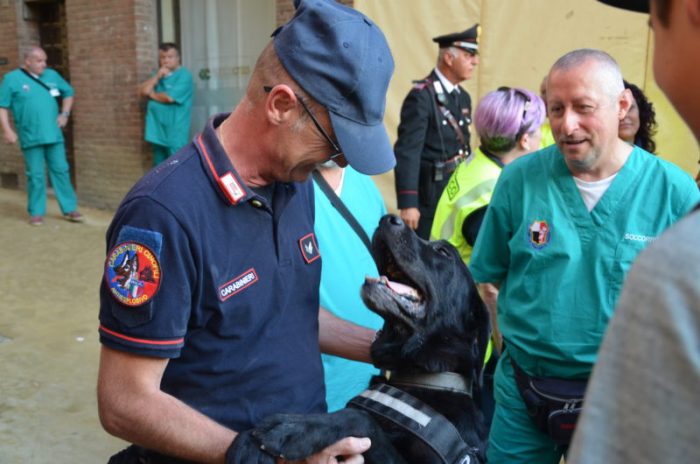 Nasconde la droga nella parete del capanno, scoperto dall'unit&agrave; cinofila