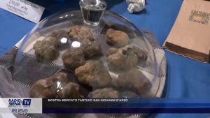 MOSTRA MERCATO TARTUFO SAN GIOVANNI D'ASSO