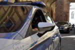 Cane vaga in tangenziale: salvato dalla Polizia e restituito al proprietario