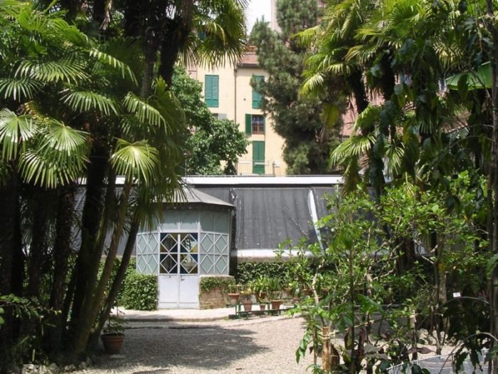 Orto Botanico, iniziano i lavori per la messa in sicurezza di alberi e tetto