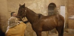 Alle 21 in onda le immagini integrali della cerimonia del "Premio Celli"