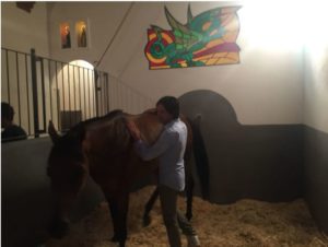 Previsite, assente anche Rocco Nice