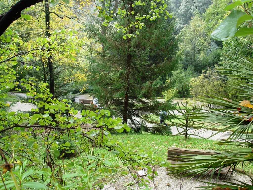 E&rsquo; di nuovo aperto al pubblico l&rsquo;Orto Botanico dell&rsquo;Universit&agrave; di Siena