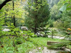 E’ di nuovo aperto al pubblico l’Orto Botanico dell’Università di Siena
