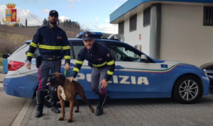 La Polizia Stradale salva un cane sull'Autopalio