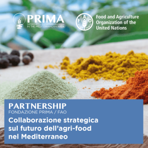 FAO e Fondazione PRIMA, una nuova partnership per promuovere l&rsquo;innovazione