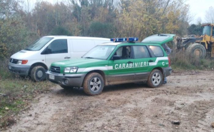 Caccia al cinghiale in area protetta: Interviene la Forestale