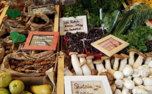 Agroalimentare: 1 senese su 3 fa la spesa dal produttore