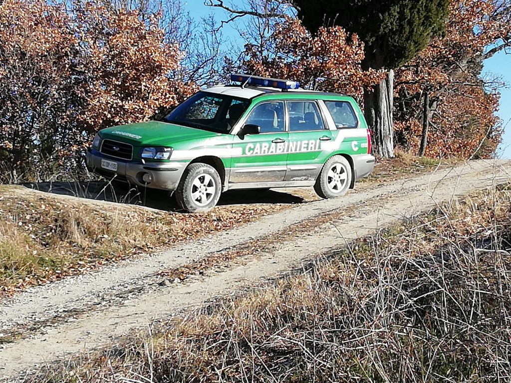 Manifestazione abusiva di fuoristrada in area protetta, interviene la Forestale