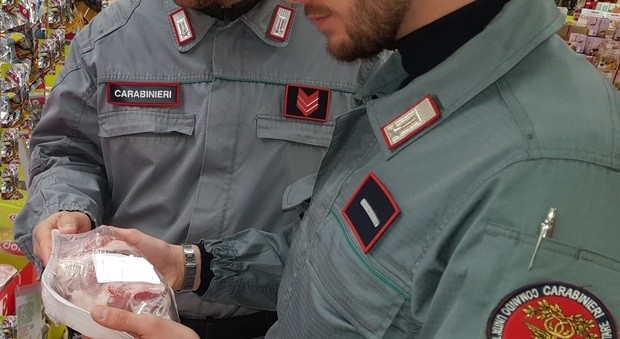 Carne di selvaggina non tracciata e lavorata in stabilimenti sconosciuti: operazione della Forestale