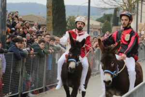 Palio dei Somari di Torrita, oggi la corsa della 63esima edizione