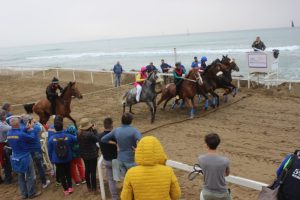 Palio Costa Etrusca, vince Cecina con il bis di Tittia su Umitilla