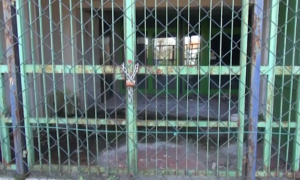 Ex scuola Alfieri, il degrado avanza. Michelotti: "Aspettiamo la firma di Unicoop per la gestione del piazzale"