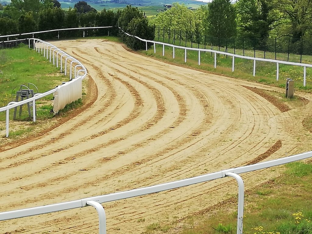 Rinviate le corse di addestramento di Mociano