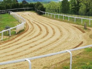 Rinviate le corse di addestramento di Mociano