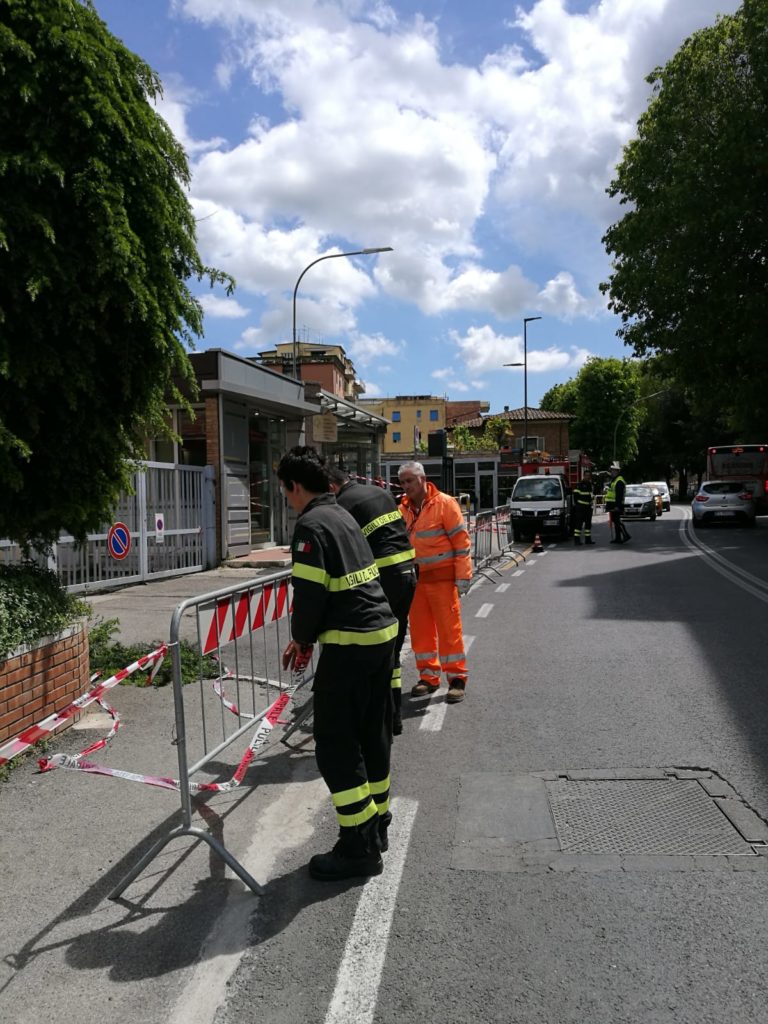 Sciame d'api all'Antiporto e alla scala mobile - FOTO