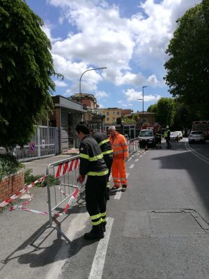 Sciame d'api all'Antiporto e alla scala mobile - FOTO