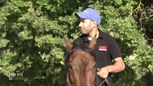 Palio di Ferrara: vince San Giacomo con Tremendo. A Legnano vince Bighino