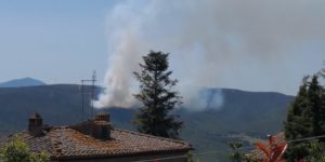 Vasto incendio: un bosco prende fuoco a San Lorenzo a Merse
