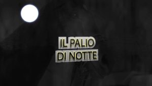 IL PALIO DI NOTTE 12-08-2019