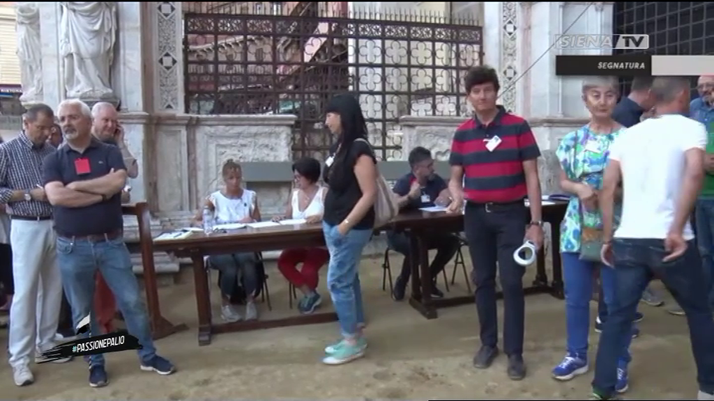 SEGNATURA CAVALLI 29-06-2019