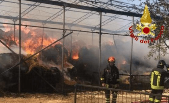 Incendio devasta due capannoni di rotoballe