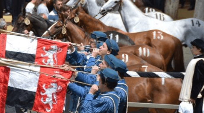 Palio, ecco il lotto dei 10