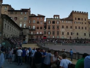 Palio, ecco i cavalli ammessi alla Tratta