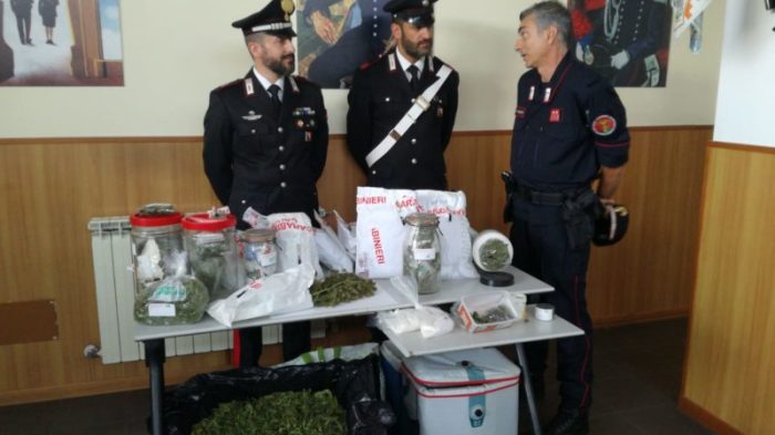 Coltivano la droga in un casolare del senese, arrestati due uomini