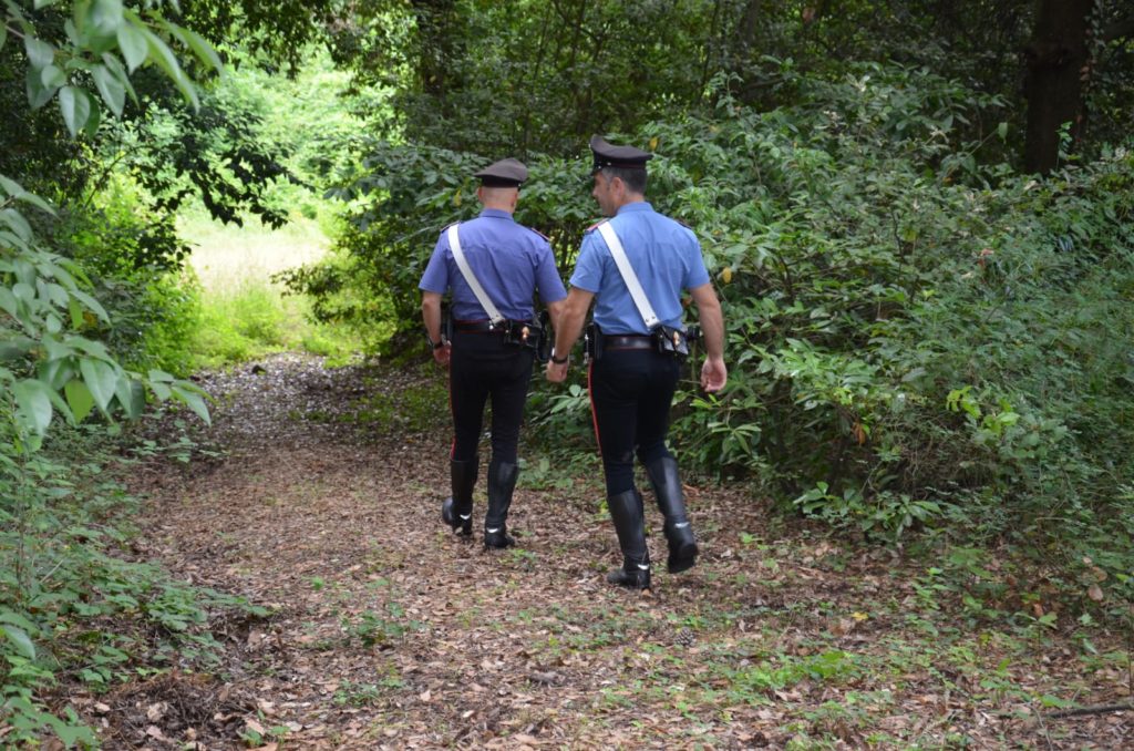 Beccati dai carabinieri mentre annaffiano la marijuana nell'orto: denunciata coppia di giovani